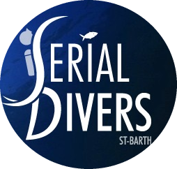 Serial Divers